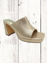 A gold-colored Pierre Dumas Lois-2 heel with a single band, square open toe, and a tall block heel on a wooden floor.
